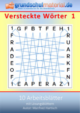 Versteckte Wörter_1.pdf